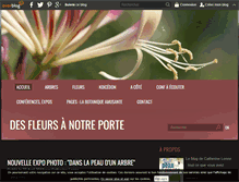 Tablet Screenshot of desfleursanotreporte.com